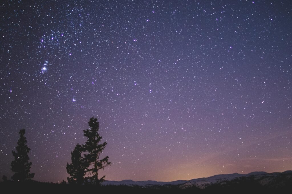 A stunning view of a star-filled night sky with silhouetted trees and distant mountains, perfect for stargazing enthusiasts.