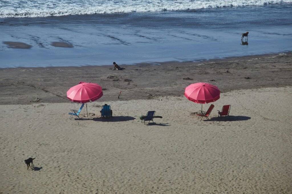 Vibrant chairs and umbrellas on Chicama beach in Peru, with dogs and ocean waves.
